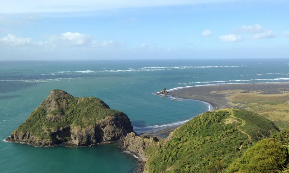 Wild Turkey  & Omanawanui, Auckland