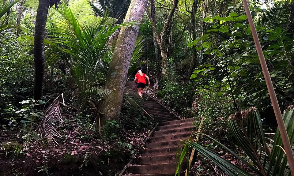 Okura Bush, Auckland