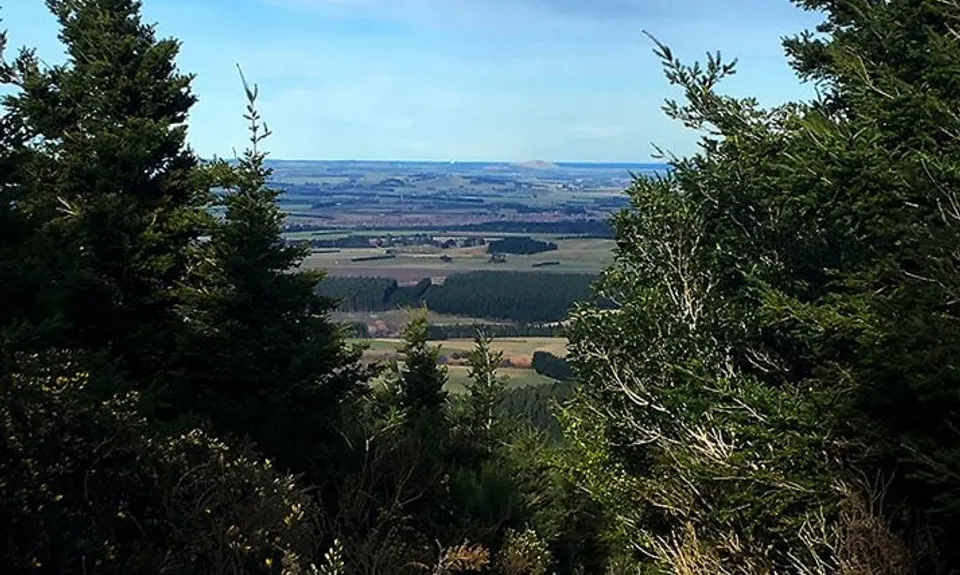Mt Thomas Grunt, Canterbury