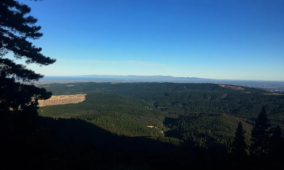 Mt Grey, Canterbury