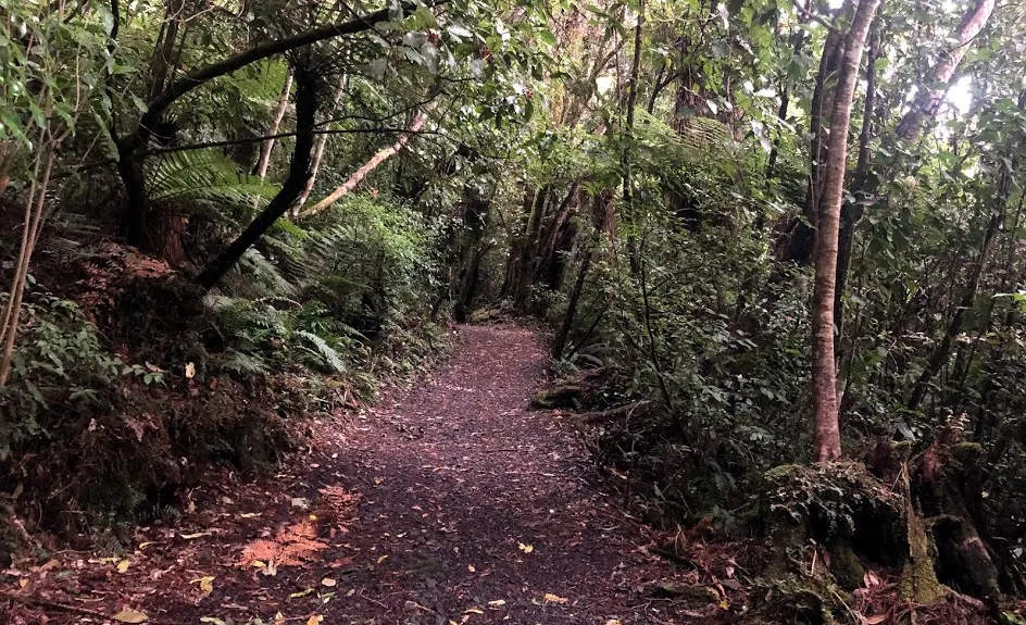 Lake Rotopounamu, Waikato
