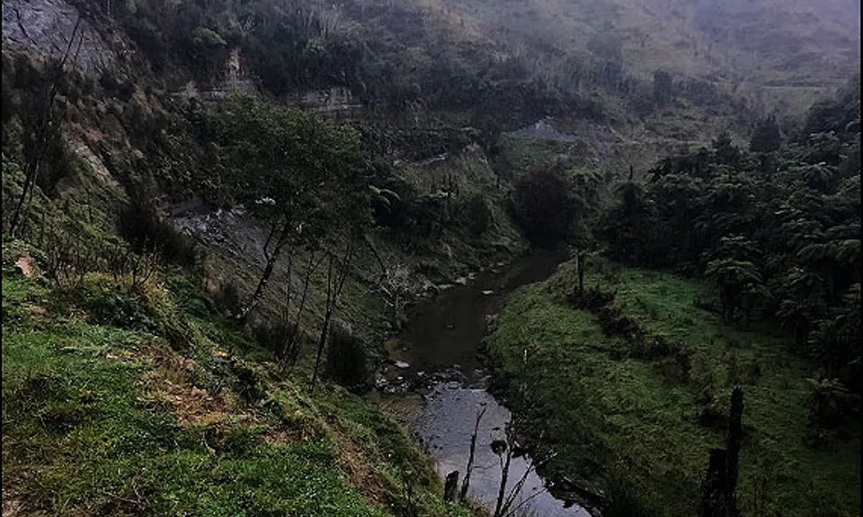 The Old Whangamomona Road, Taranaki