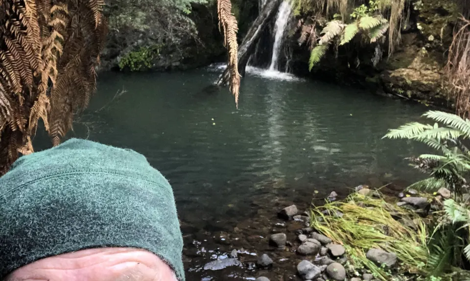 Piraunui Track, Waikato