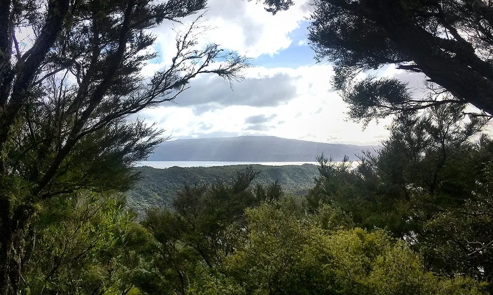 Tarawera Trail Route Recce, Bay of Plenty