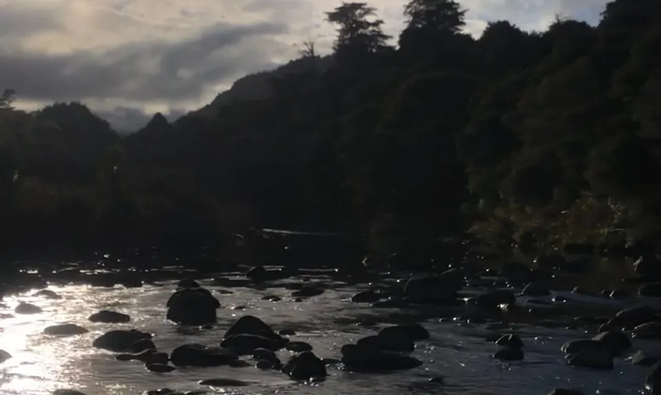Piraunui Track, Waikato