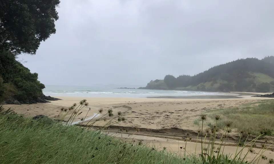 Whananaki Coastal Track, Northland