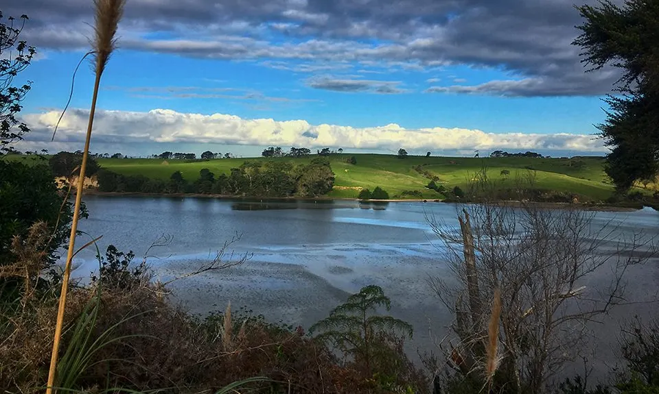 Okura Bush, Auckland
