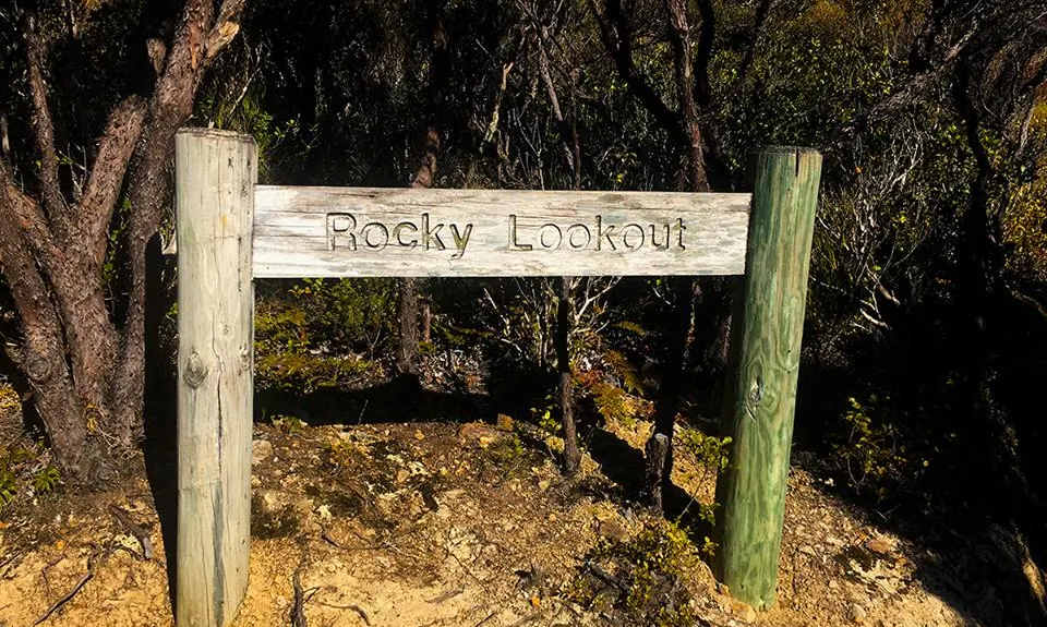 Hooper Loop - Mt Holdsworth, Wellington