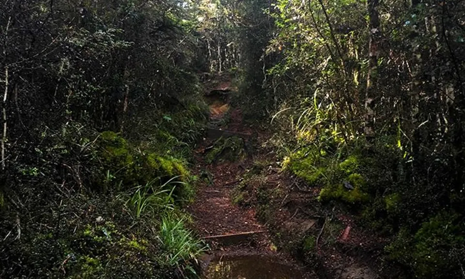 Blyth Hut and Beyond , Manawatu - Wanganui