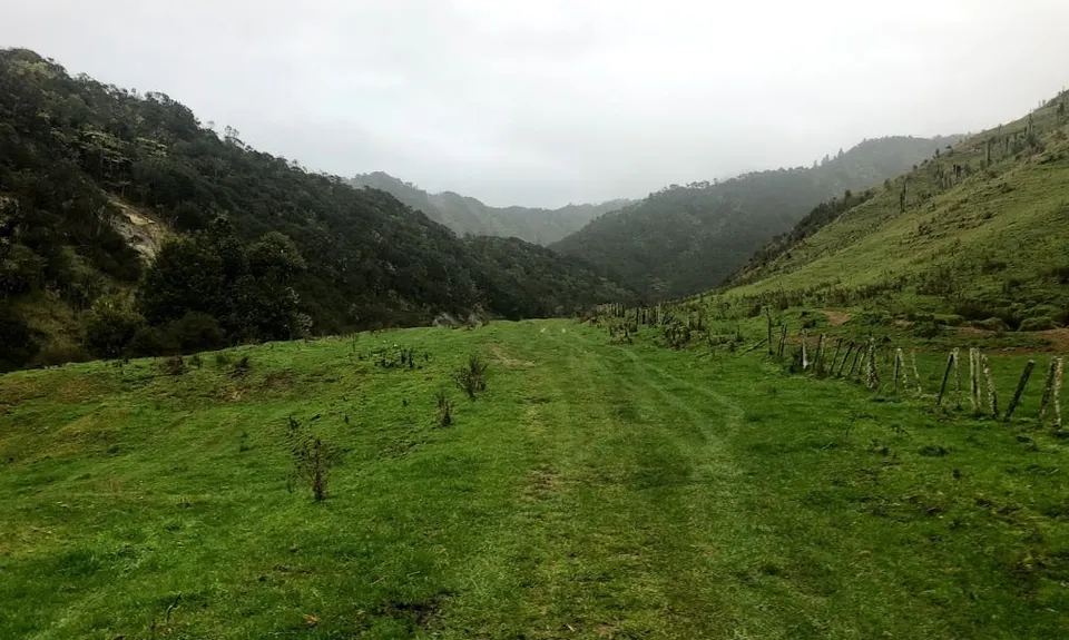 The Old Whangamomona Road, Taranaki