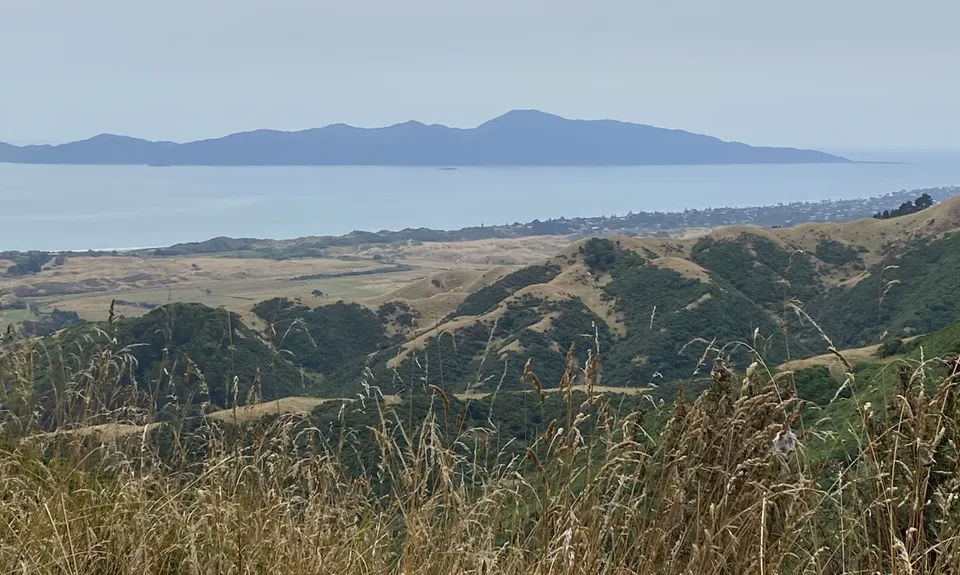 Perhams Road Loop, Wellington