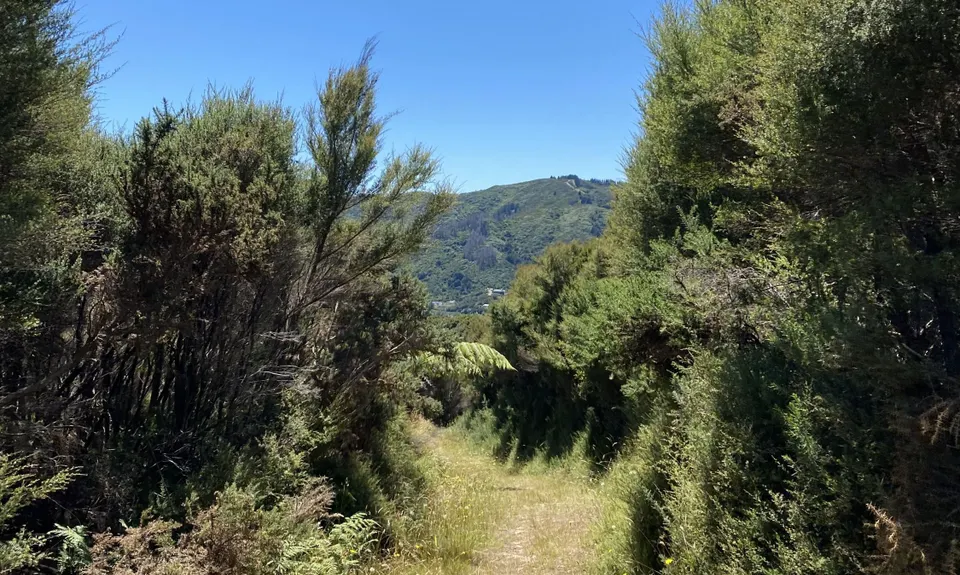 Rata Ridge, Wellington