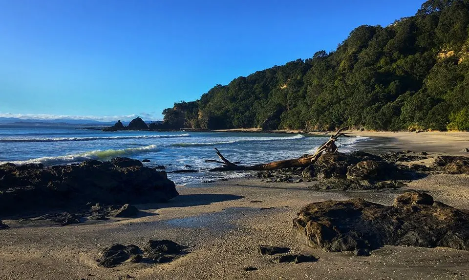 Nga Tapuwae o Toi Trail, Bay of Plenty