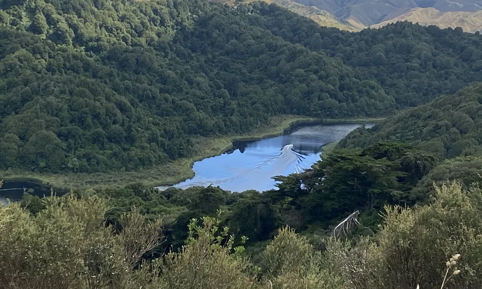 Rotokare Loop-da-Loop, Taranaki