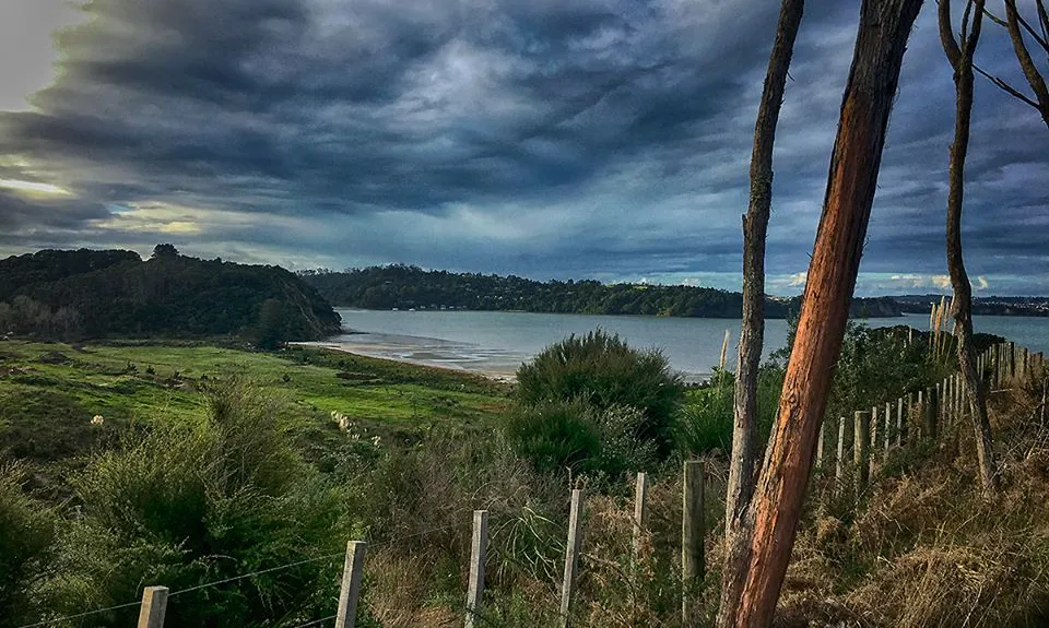 Okura Bush, Auckland