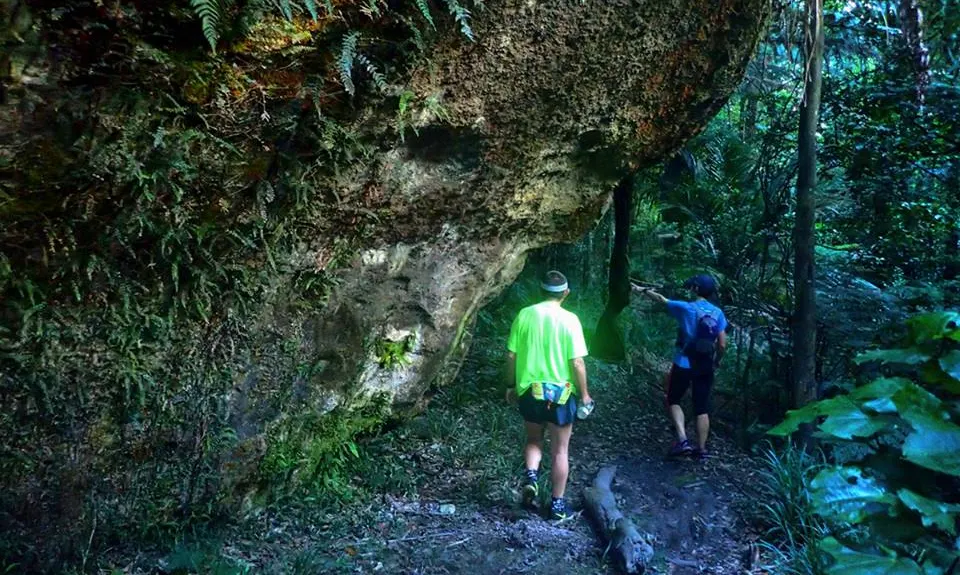 Otawa Trig, Bay of Plenty