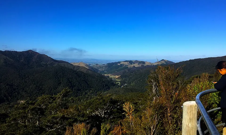 Hooper Loop - Mt Holdsworth, Wellington