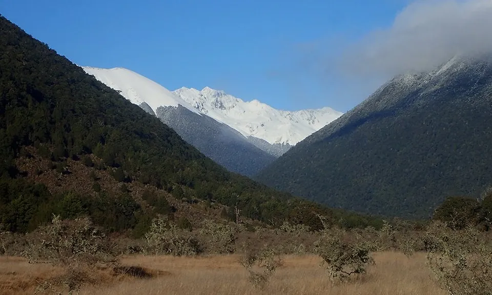 Rotoiti Loop The Lake, Tasman