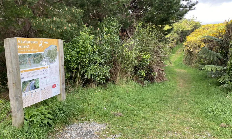 Birchville Dam Loop, Wellington