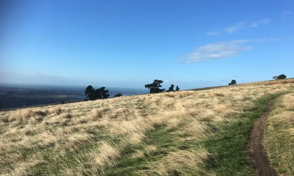 Montgomery Loop, Canterbury
