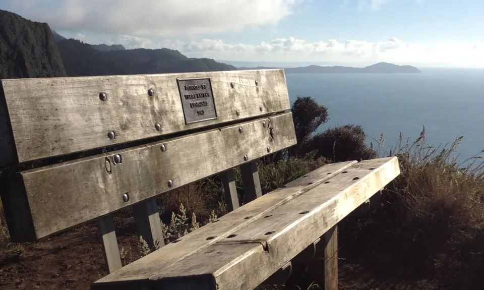 Wild Turkey  & Omanawanui, Auckland