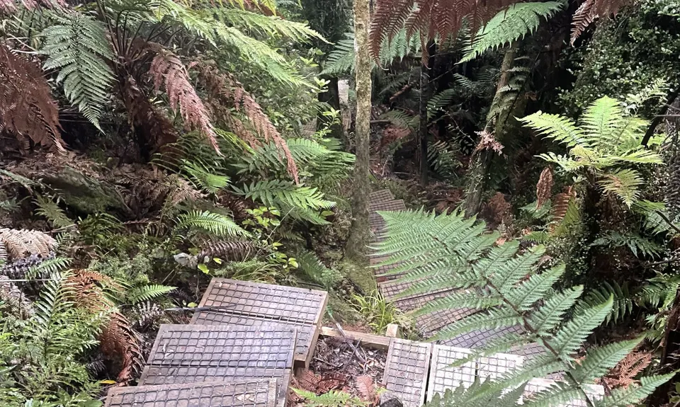 Ernie's loop, Auckland