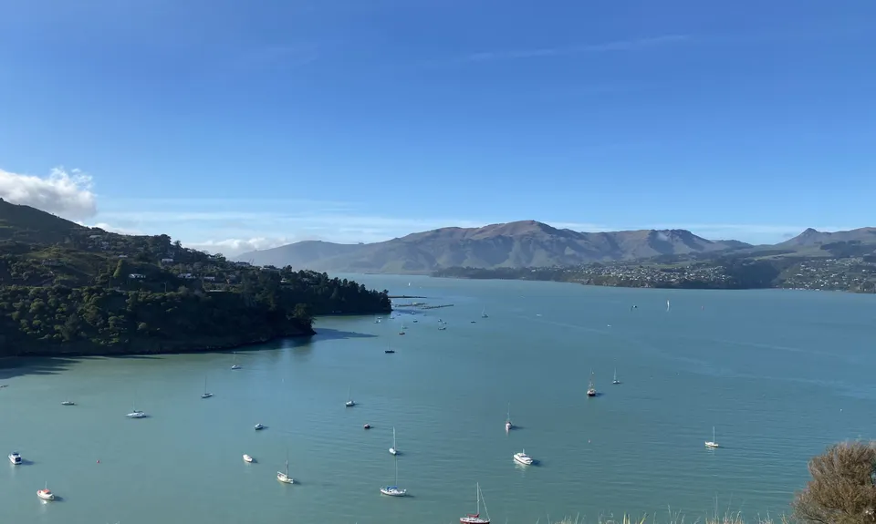 Dog Sniffing Rhythms - Harbour Crusin', Canterbury