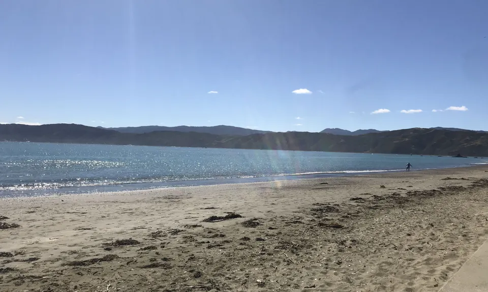 Oruaiti Reserve, Wellington