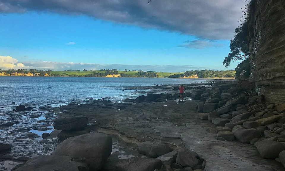 Okura Bush, Auckland