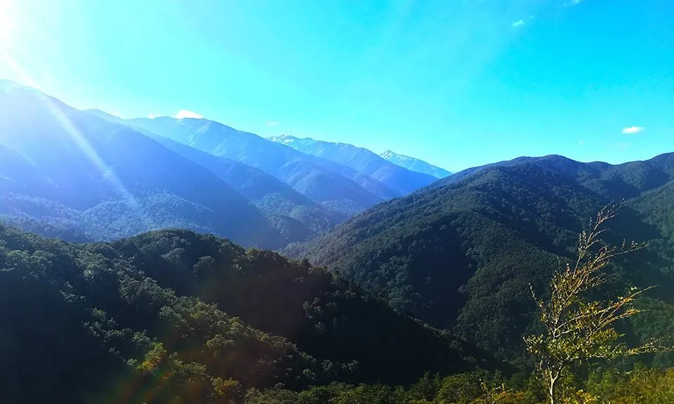 Hooper Loop - Mt Holdsworth, Wellington