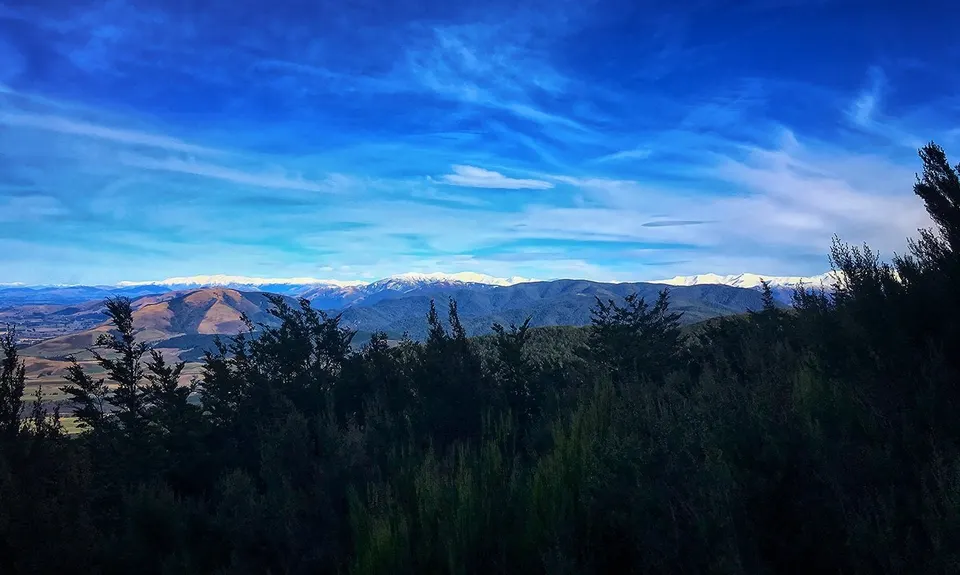 Mt Thomas Grunt, Canterbury