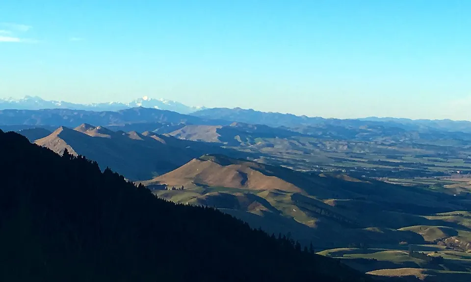 Mt Grey, Canterbury