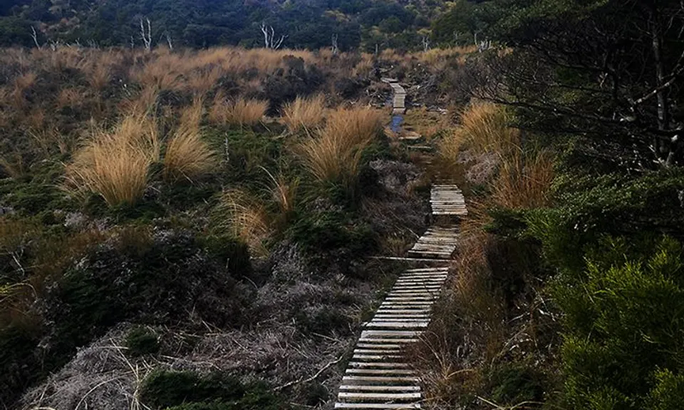 Blyth Hut and Beyond , Manawatu - Wanganui