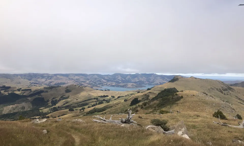 Sweet Sinclair Summit, Canterbury