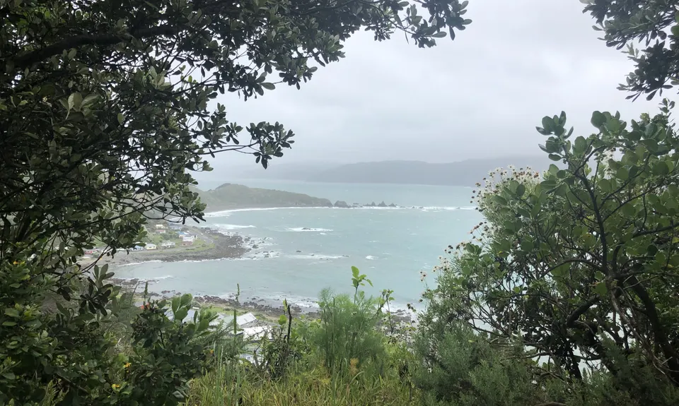 Ataturk to Pass Of Branda Loop, Wellington