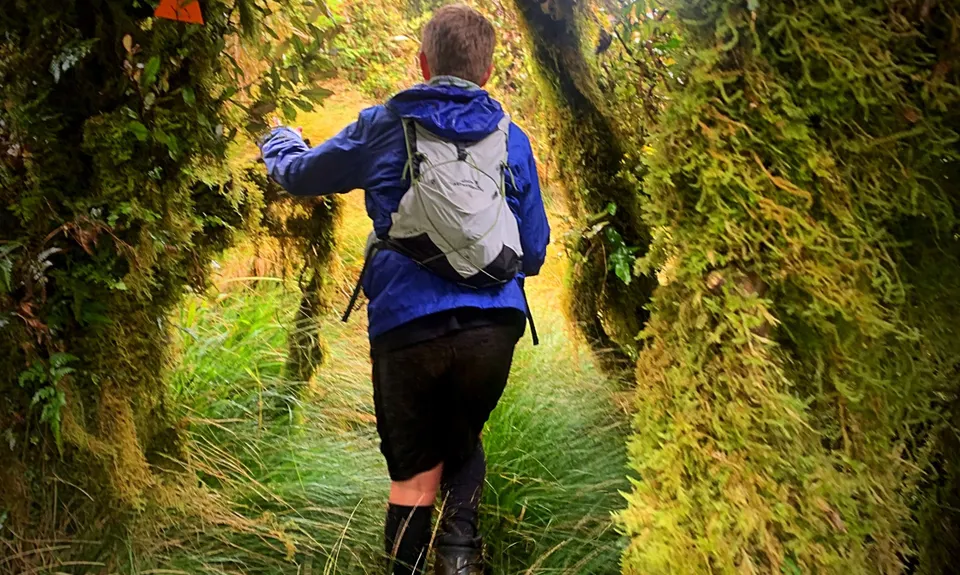Arawaru Trig Loop, Manawatu - Wanganui