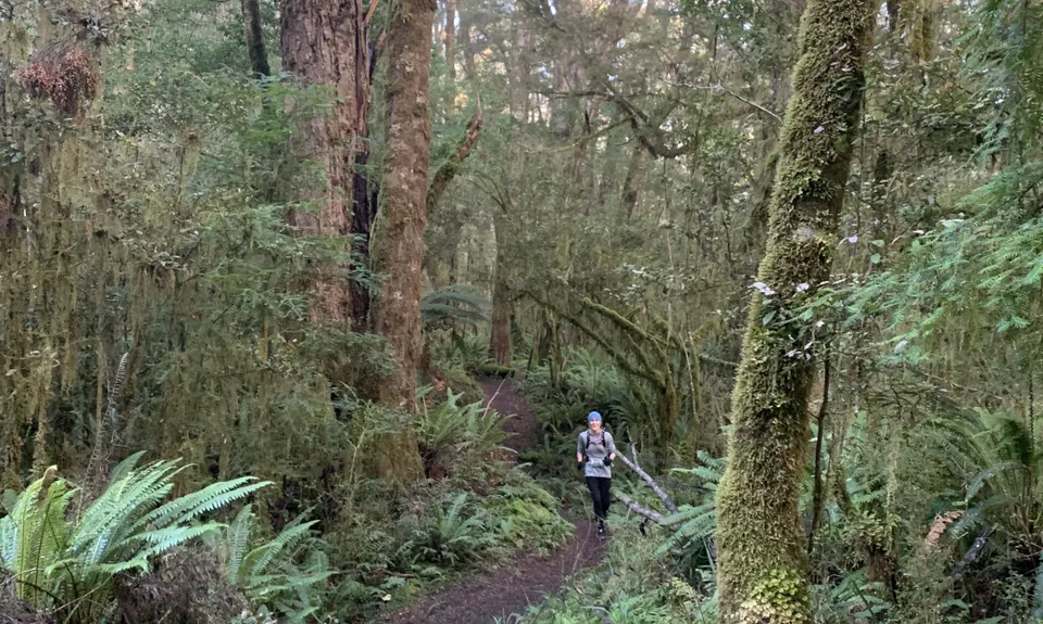 Kepler Track, Southland