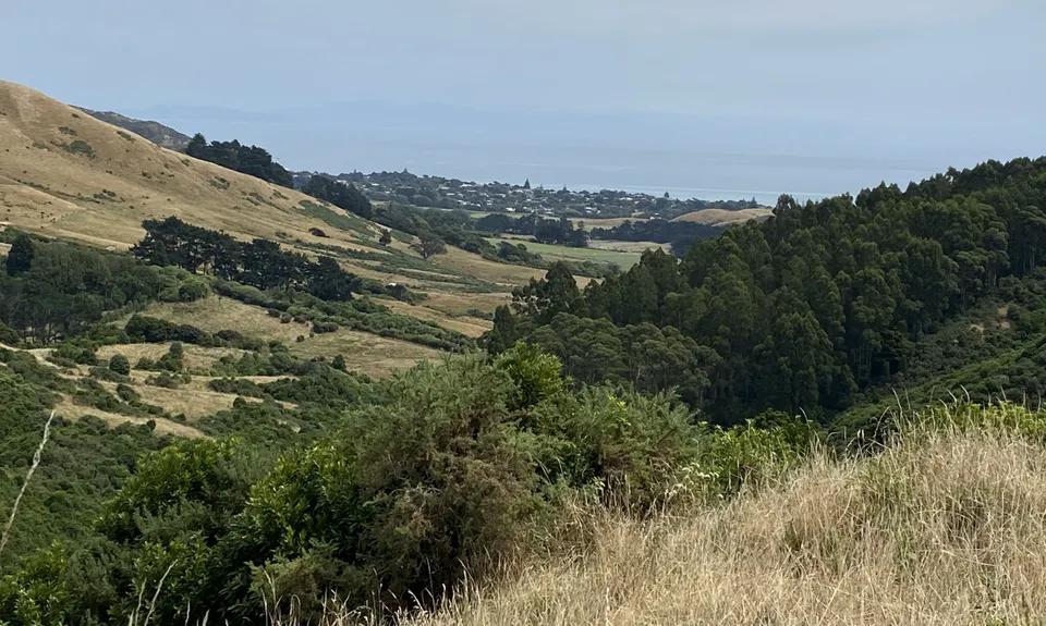 Perhams Road Loop, Wellington