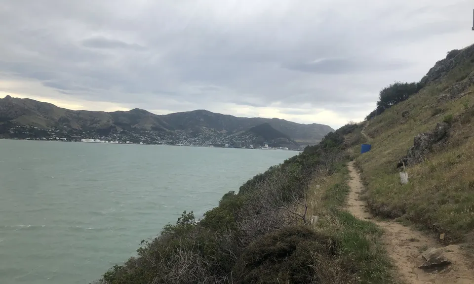 Coastal Cliff Candy, Canterbury