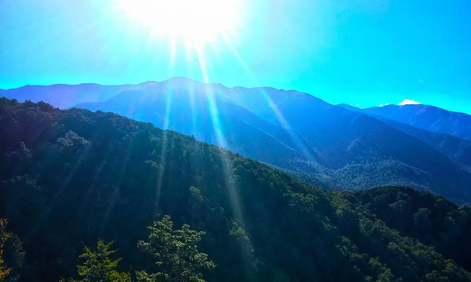 Hooper Loop - Mt Holdsworth, Wellington