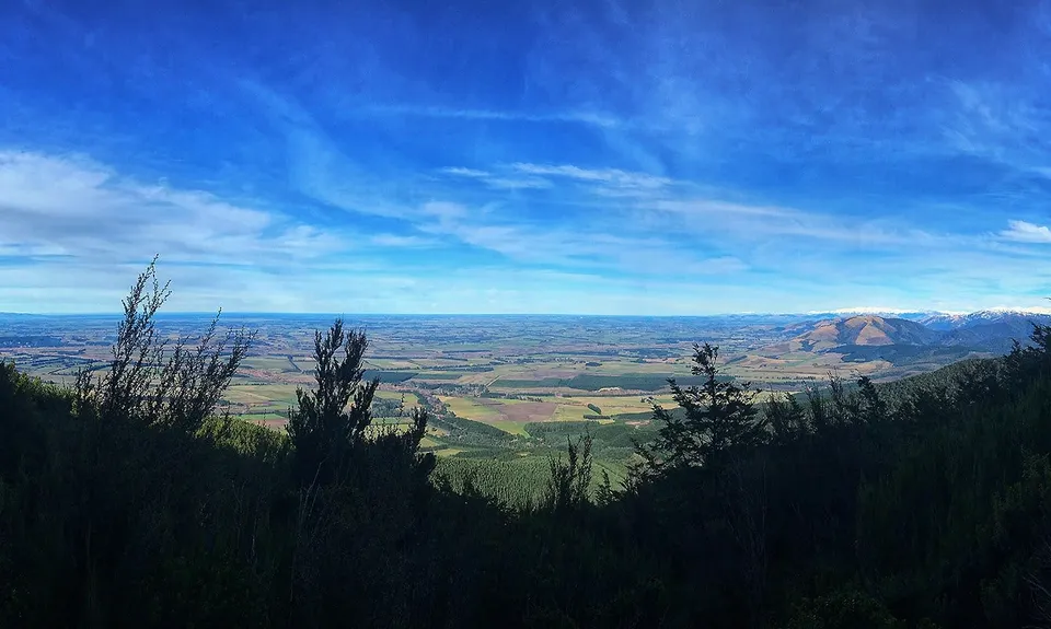 Mt Thomas Grunt, Canterbury