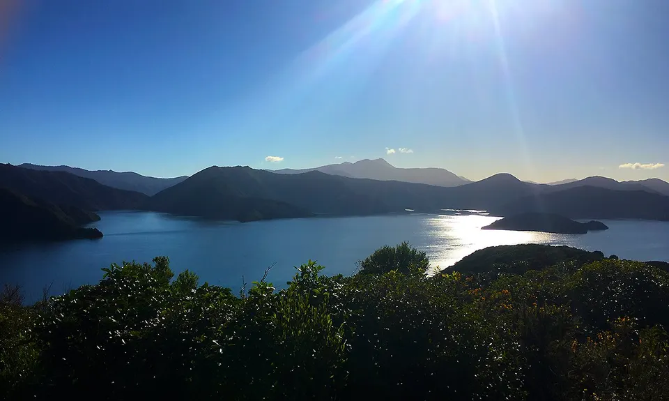 The Snout, Marlborough