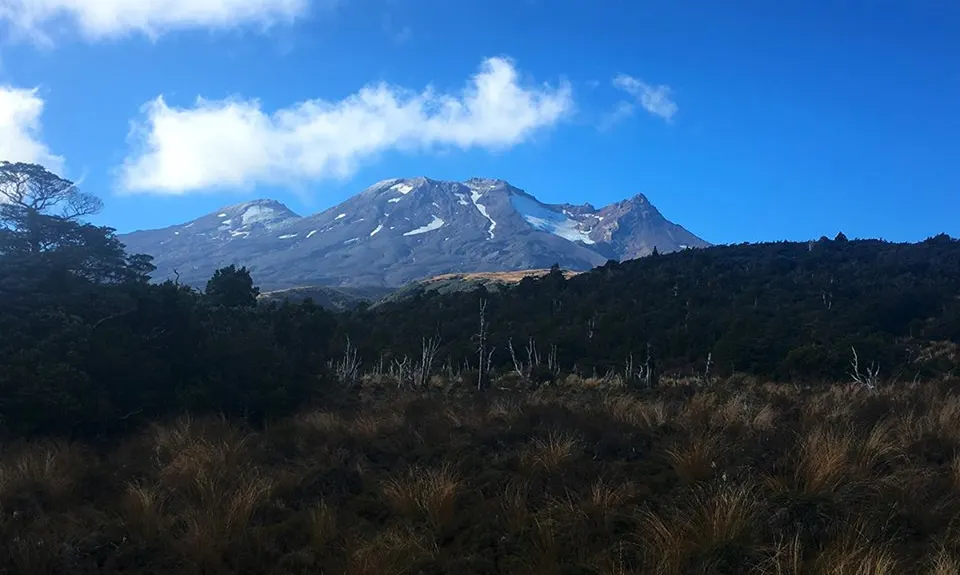 Blyth Hut and Beyond , Manawatu - Wanganui
