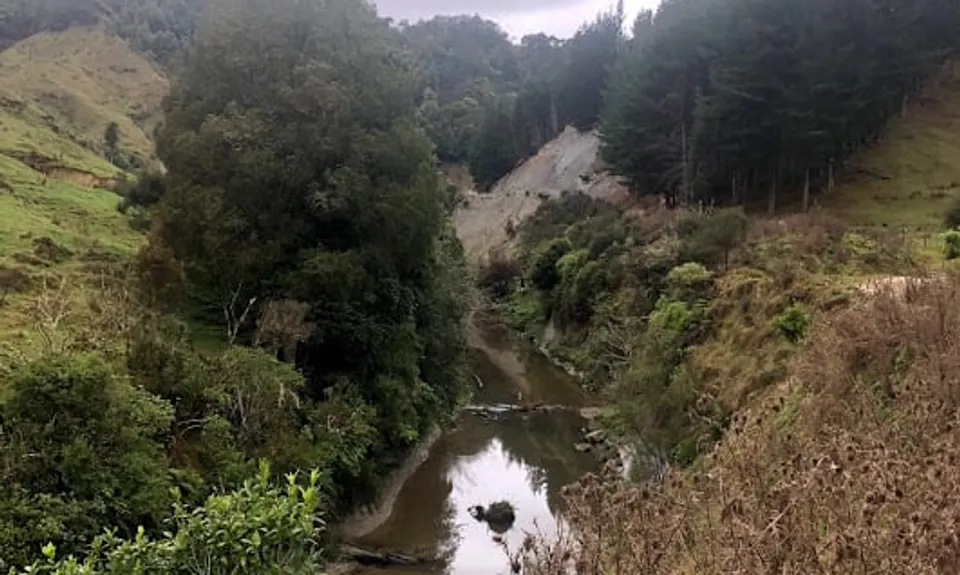 The Old Whangamomona Road, Taranaki