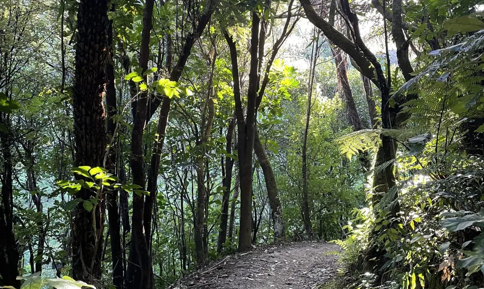 Colonial Knob - All the Hills, Wellington