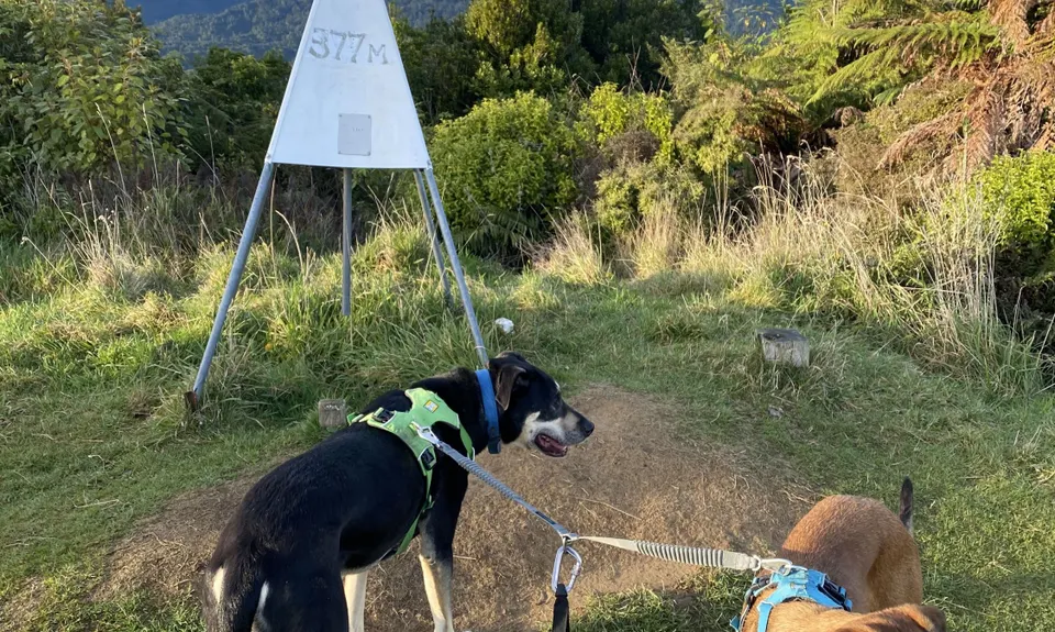 Levin Trig, Manawatu - Wanganui