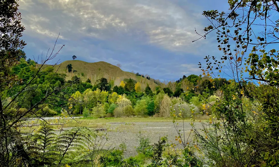 Pettifar & Gilchrist Loop, Manawatu - Wanganui