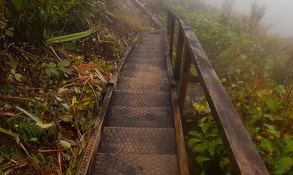Te Aroha Summit Loop, Waikato