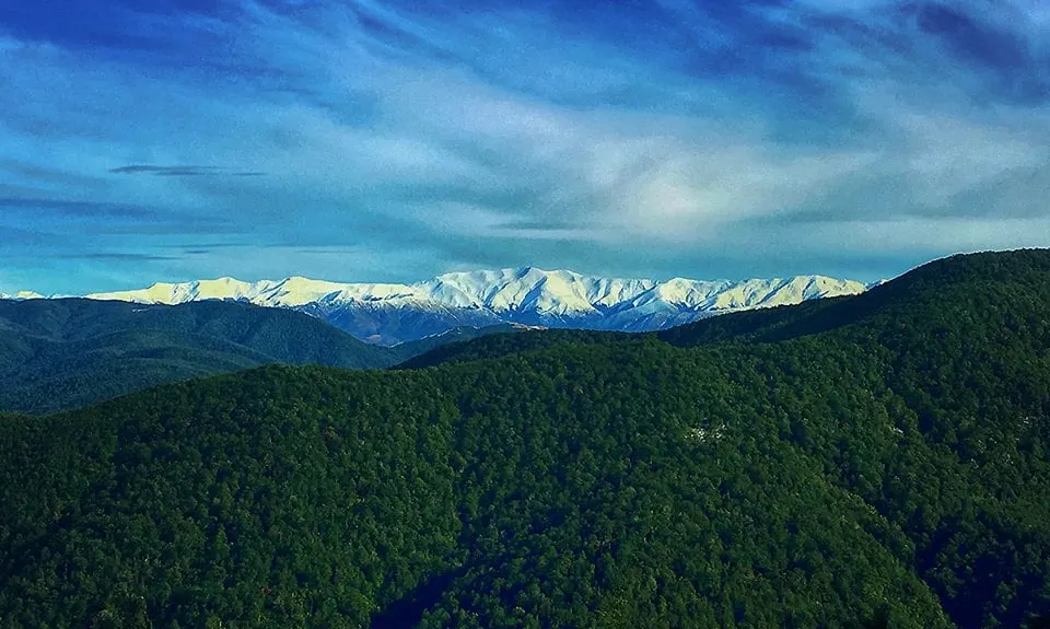 Mt Thomas Grunt, Canterbury