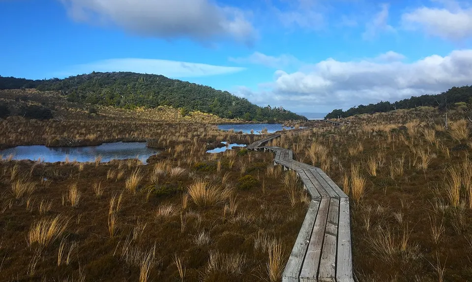 Blyth Hut and Beyond , Manawatu - Wanganui